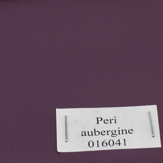 aubergine 016041